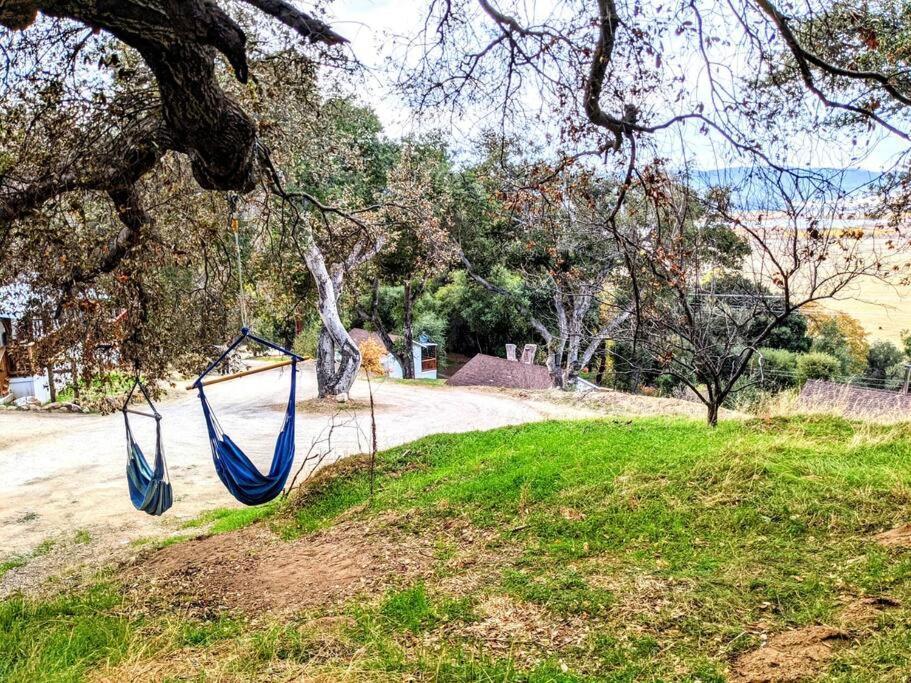 The Luminous Lodge-Remodeled Cabin W/ Valley Views Santa Ysabel Ngoại thất bức ảnh
