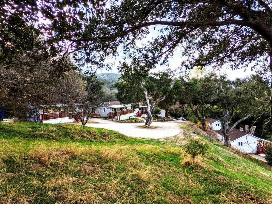 The Luminous Lodge-Remodeled Cabin W/ Valley Views Santa Ysabel Ngoại thất bức ảnh